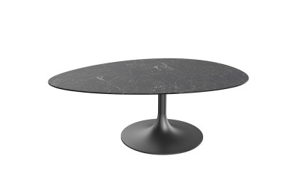 ALISSE  - Table basse waterglass forme irrégulière 